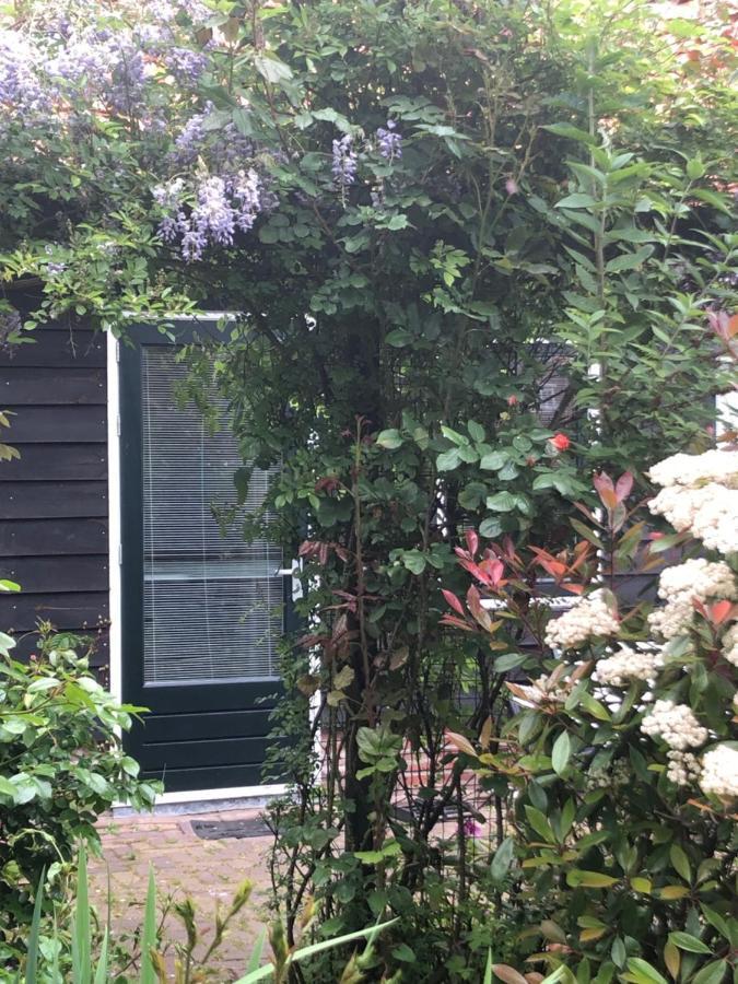 B&B Bloom Amsterdam Dış mekan fotoğraf